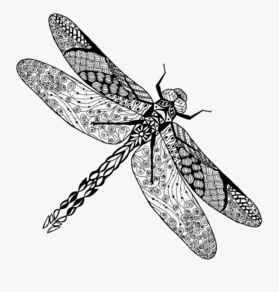 Tattoo Dragonfly Photography Insect Drawing Stock Clipart - Dragonfly Sketch, Transparent Clipart