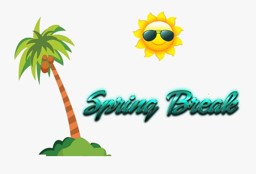 Spring Break Png Photo - Clip Art Coconut Tree Png, Transparent Clipart