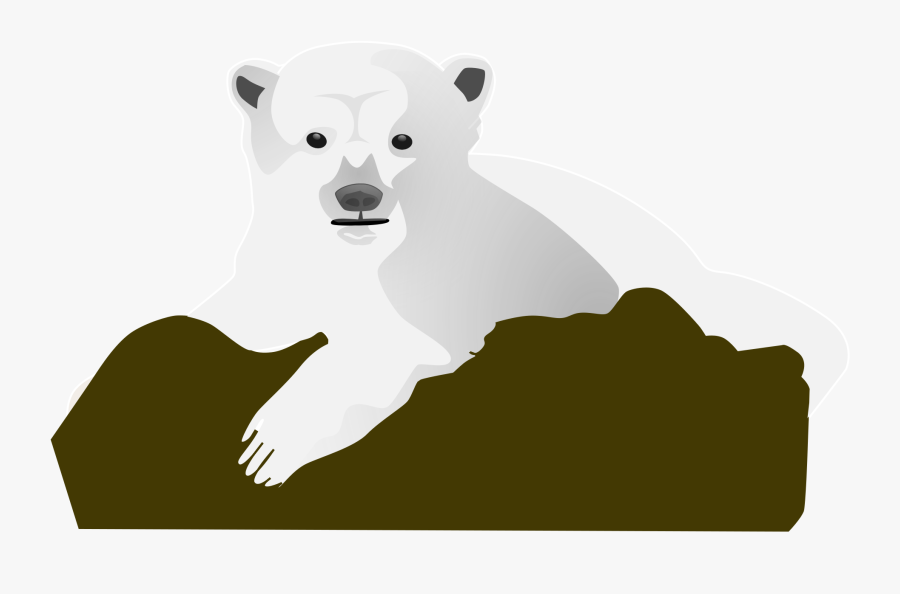 Polar Bear Vector Png, Transparent Clipart
