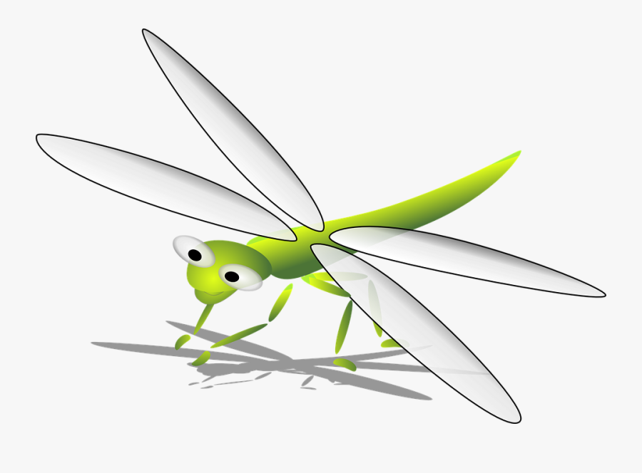 Transparent Dragon Fly Clipart - Libellule Clipart Png, Transparent Clipart