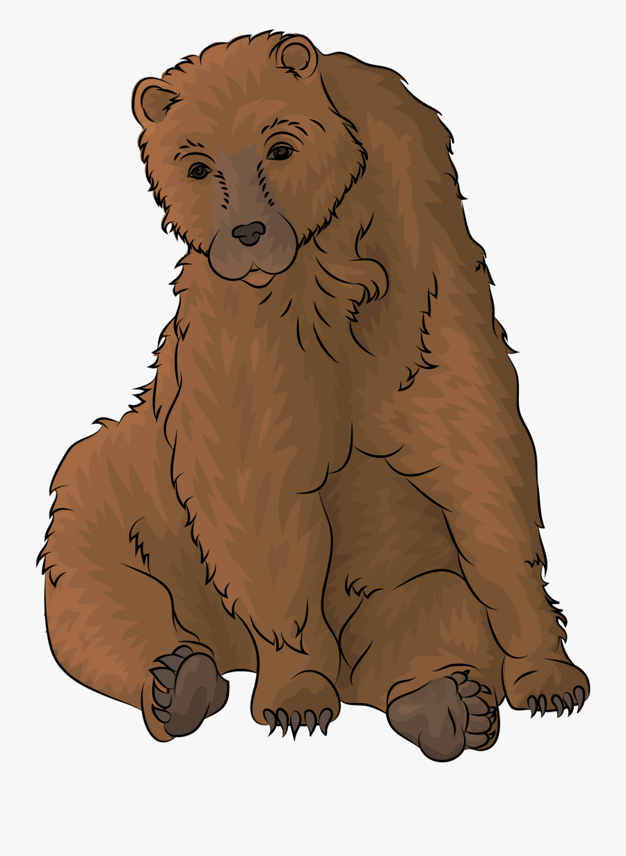Grizzly Bear, Transparent Clipart
