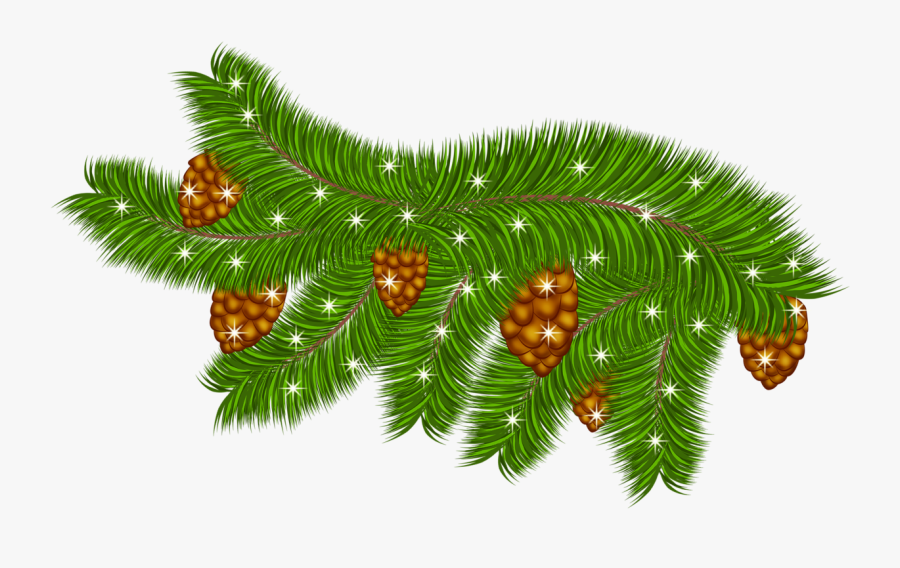 Clip Art Pine Bough Clipart - Illustration, Transparent Clipart