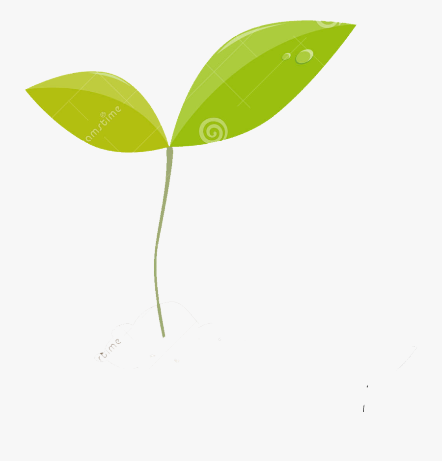 Beaver, Bog, Cattail, Dragonfly, Ecology, Eng, Fen, - Illustration, Transparent Clipart