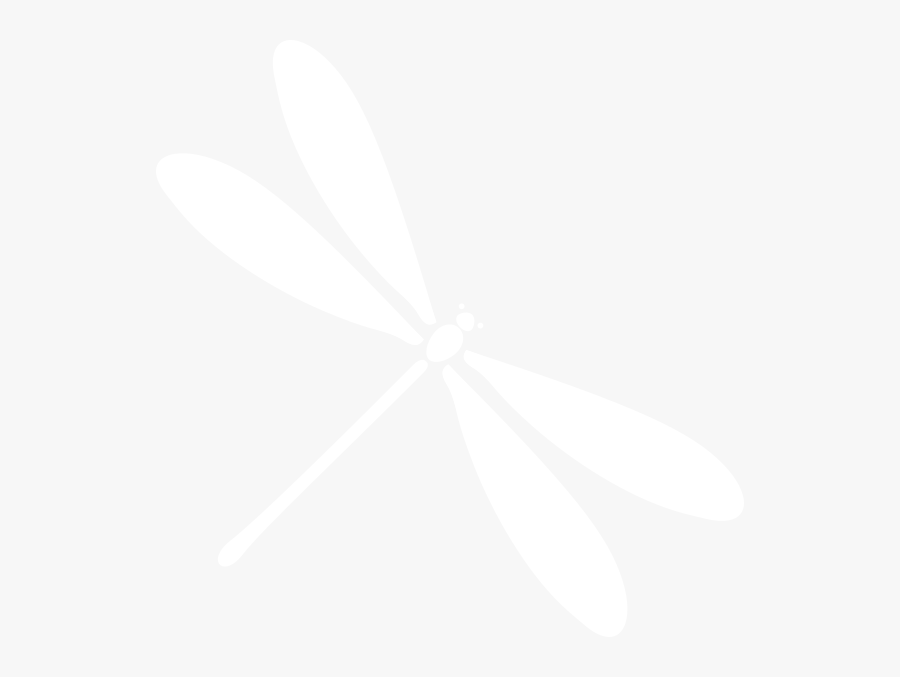 Damselfly, Transparent Clipart