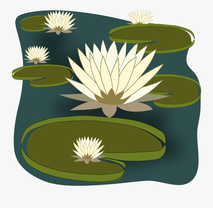 Lily Pad Clipart Water Lily - Water Lily Plant Clipart, Transparent Clipart