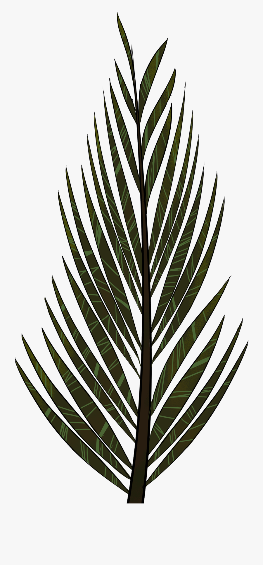 Pine Tree Clipart Fern Tree - Pine Tree Leaves Draw, Transparent Clipart