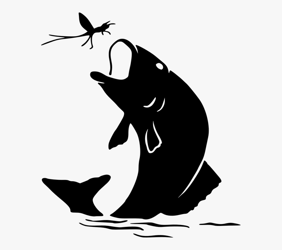 Fish, Dragonfly, Catching, Huge, Danger, Jumping - Fish Jumping Out Of Water Silhouette, Transparent Clipart