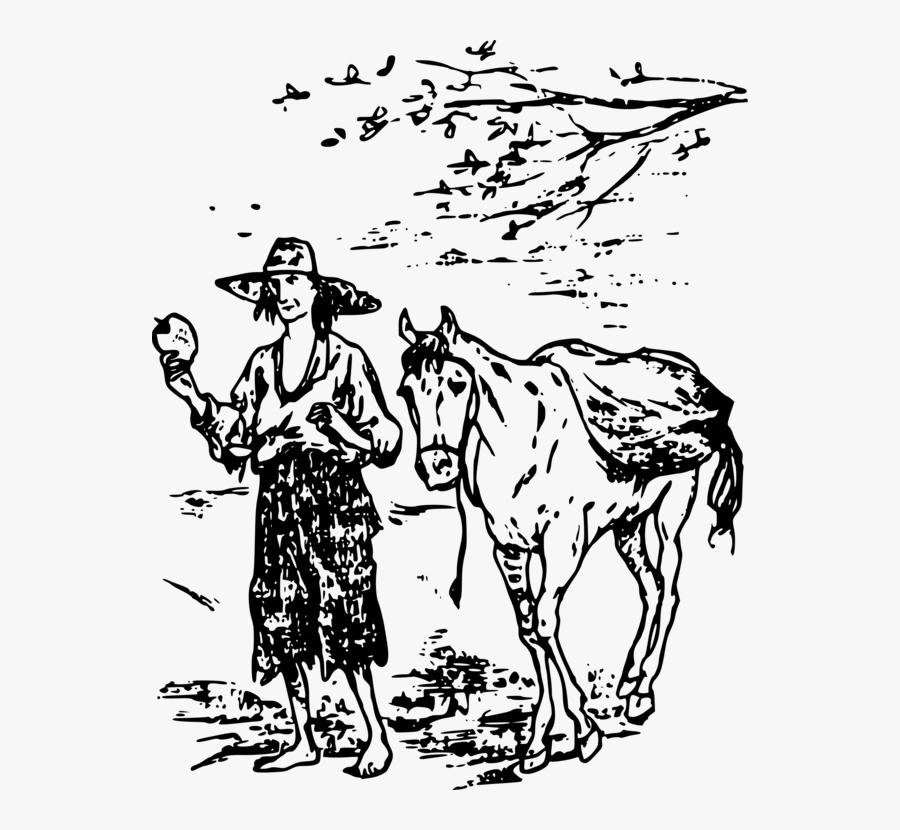 Donkey,art,monochrome Photography - Horse, Transparent Clipart