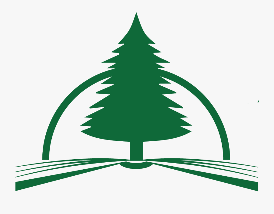 Evergreen Presbyterian Church - Christmas Tree, Transparent Clipart