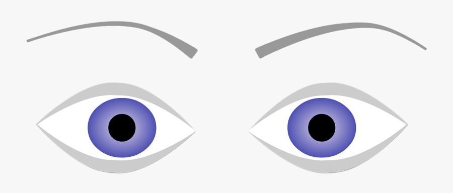 Eyes,eyebrows,blue Eyes,look,human Body,face,free Pictures - Circle, Transparent Clipart