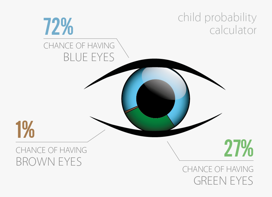 Chromo2 Blue Eyes Child Probability Calculator - Graphic Design, Transparent Clipart