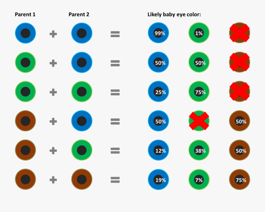 Clip Art Baby Color Chart According - Eye Colour Probability Calculator ...