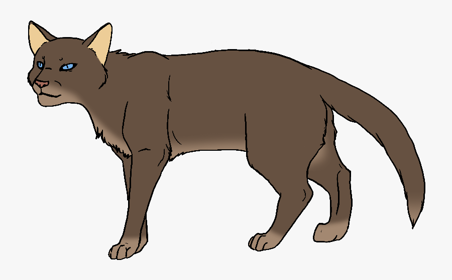 Clip Art Brown Cat With Blue Eyes - Red Brown Warrior Cat, Transparent Clipart