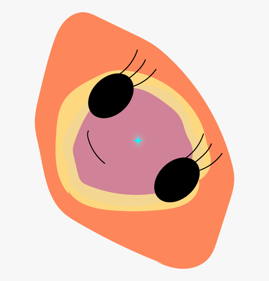 Lips Clipart Gender Reveal, Transparent Clipart