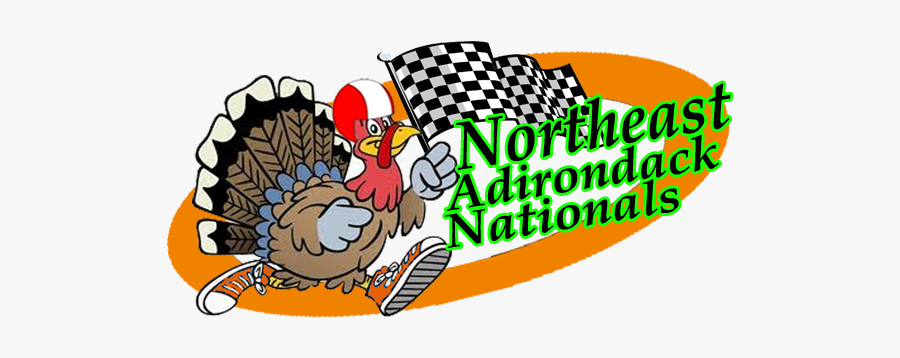 Picture - Thanksgiving Turkey, Transparent Clipart