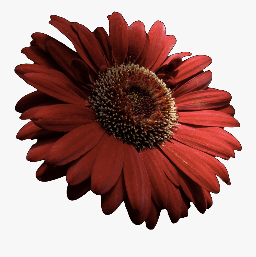 Clipart Freeuse Stock - Solidworks 歯車 解析, Transparent Clipart