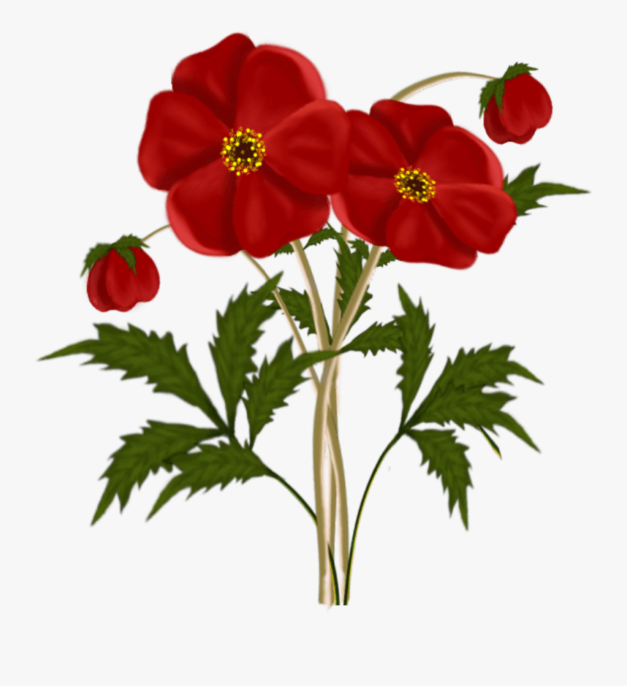 Frames & Png Red Flowers Clipart - Red Flowers, Transparent Clipart