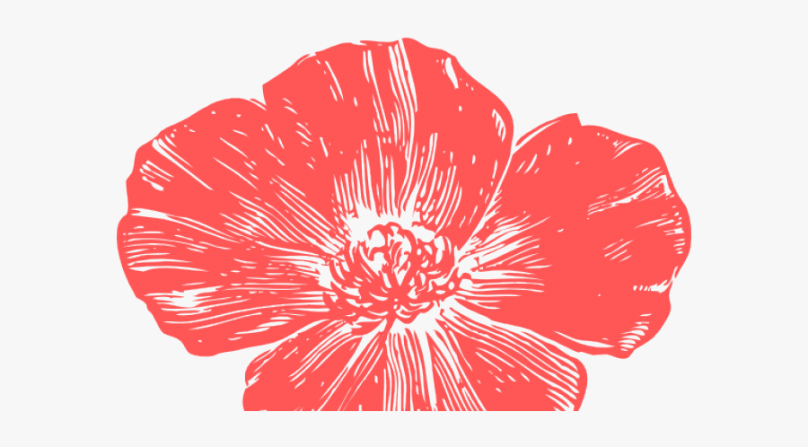 Flower Clipart Coral - Golden Poppy Clip Art, Transparent Clipart