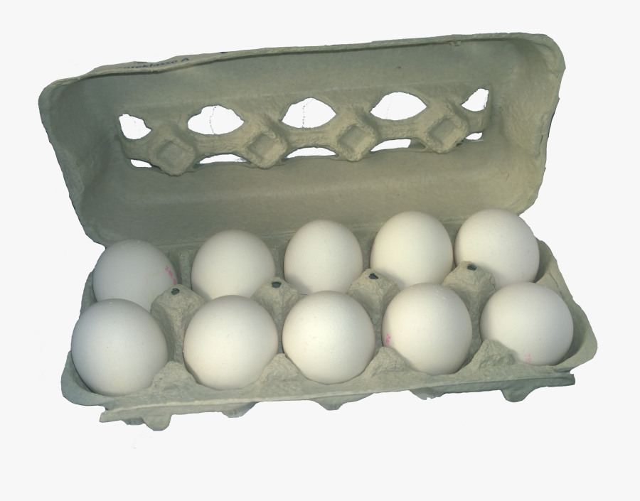 Egg Carton Vector - Carton Of Eggs Png, Transparent Clipart