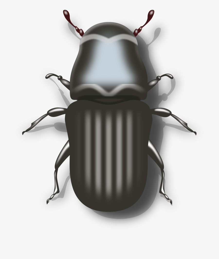 Biker Vector Motorcycle Clipart - Mountain Pine Beetle Drawing, Transparent Clipart