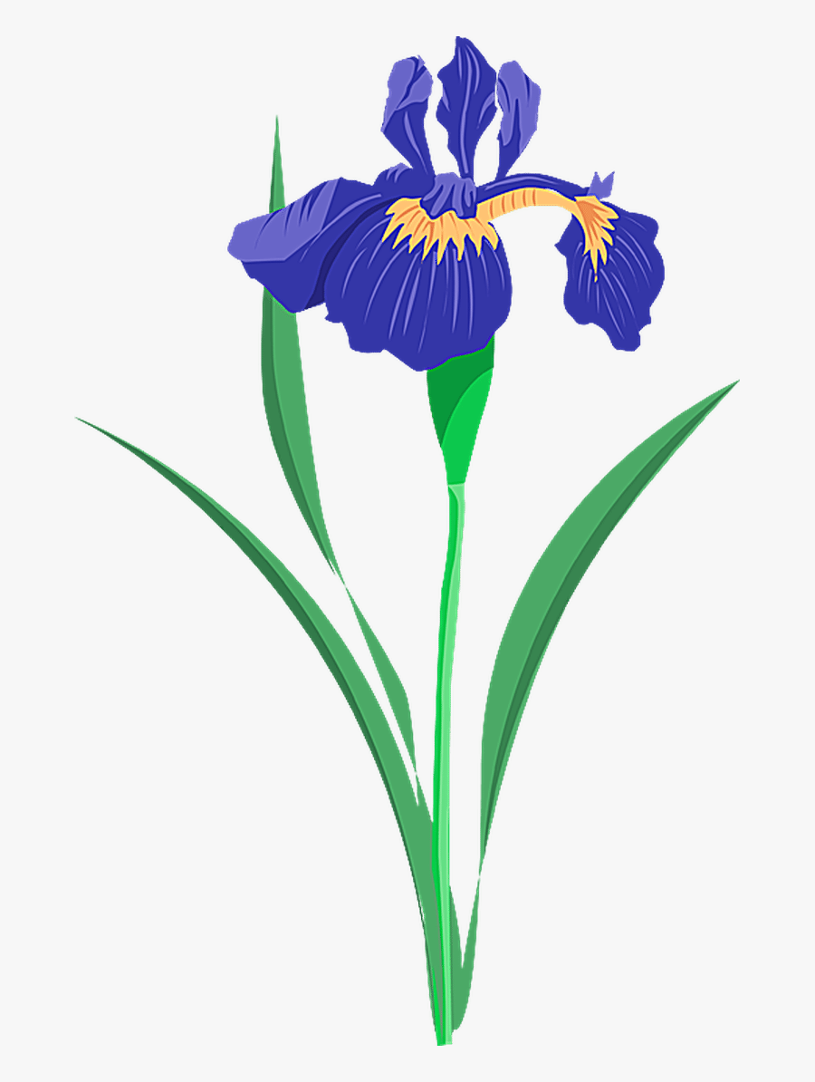 Collierville Fair On The Square, Transparent Clipart