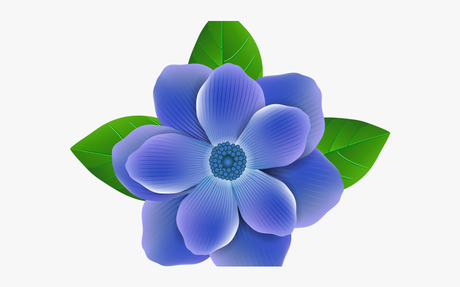 Blue Flower Transparent, Transparent Clipart