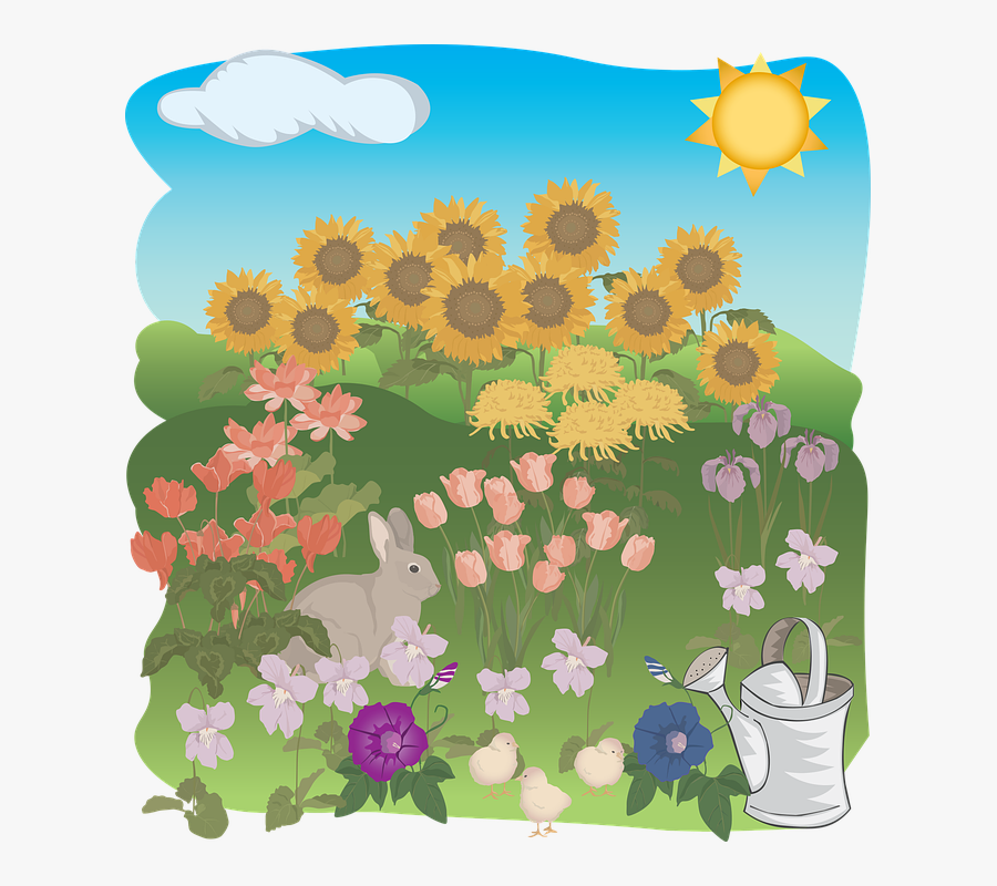 Four Seasons Worksheets For Grade 1, Transparent Clipart