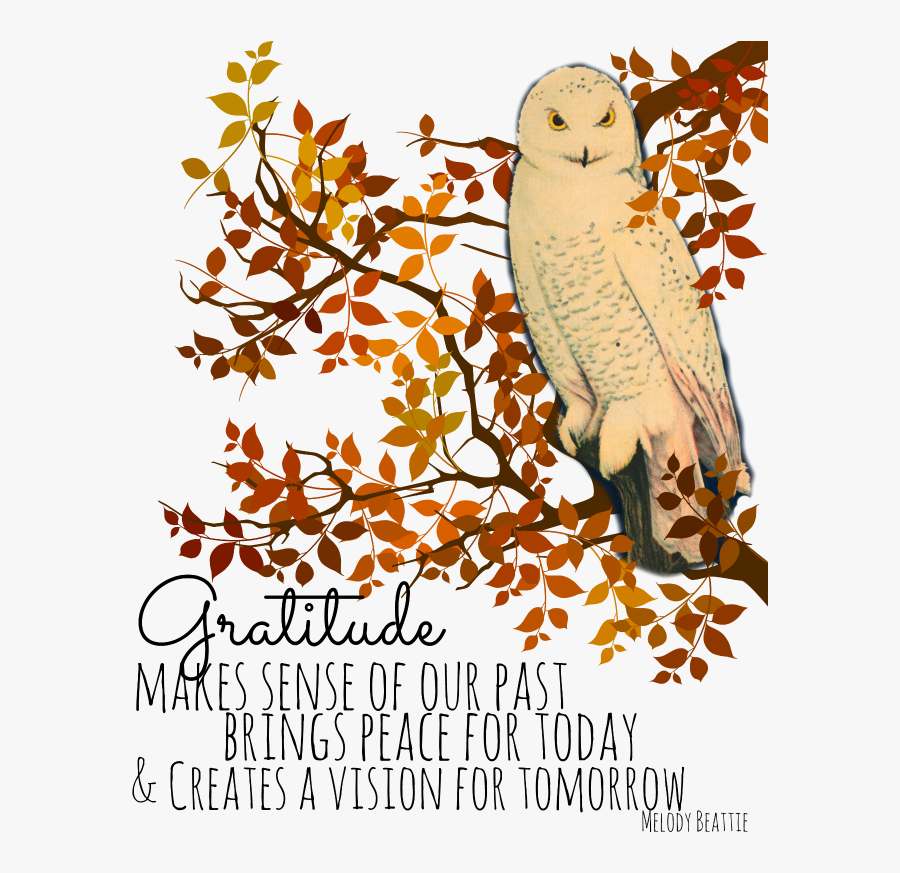 Day All Things Heart - Snowy Owl, Transparent Clipart