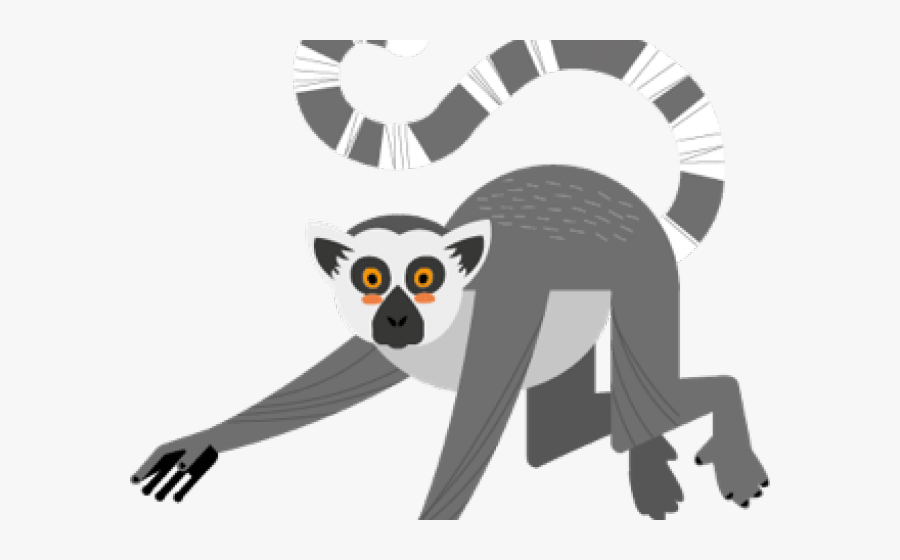 Transparent Ring Tailed Lemur Clip Art, Transparent Clipart