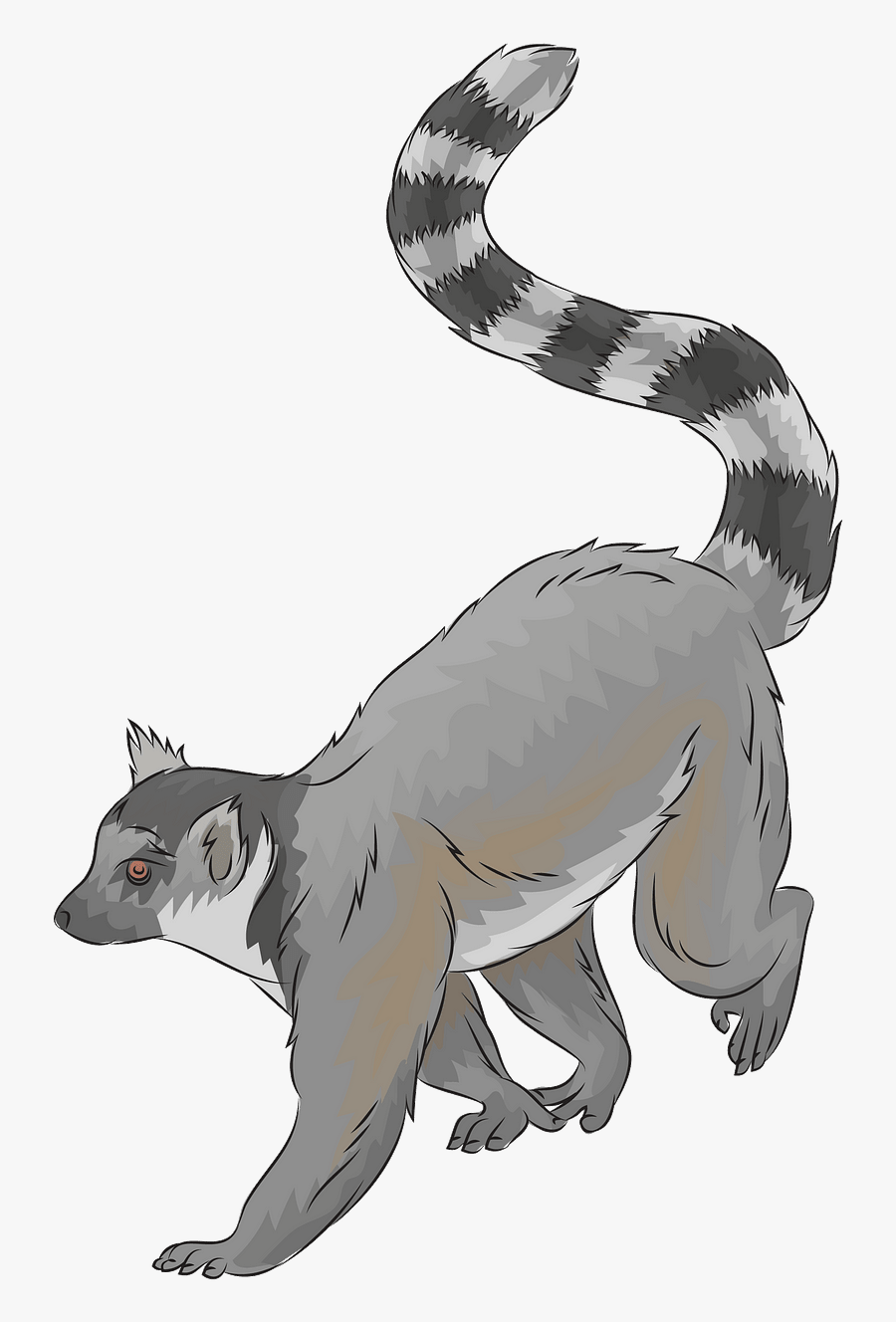 Hog Nosed Skunk, Transparent Clipart