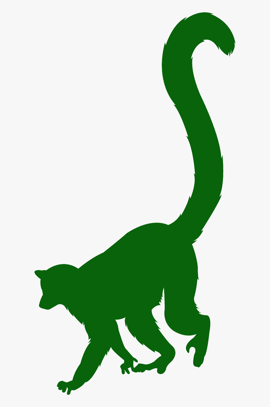 Ring Tailed Lemur Silhouette, Transparent Clipart