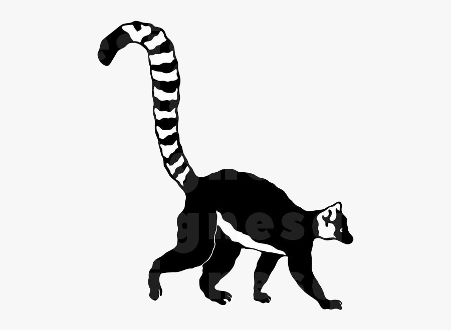 Lemur Tail Transparent Png - Black And White Clip Art Lemur, Transparent Clipart