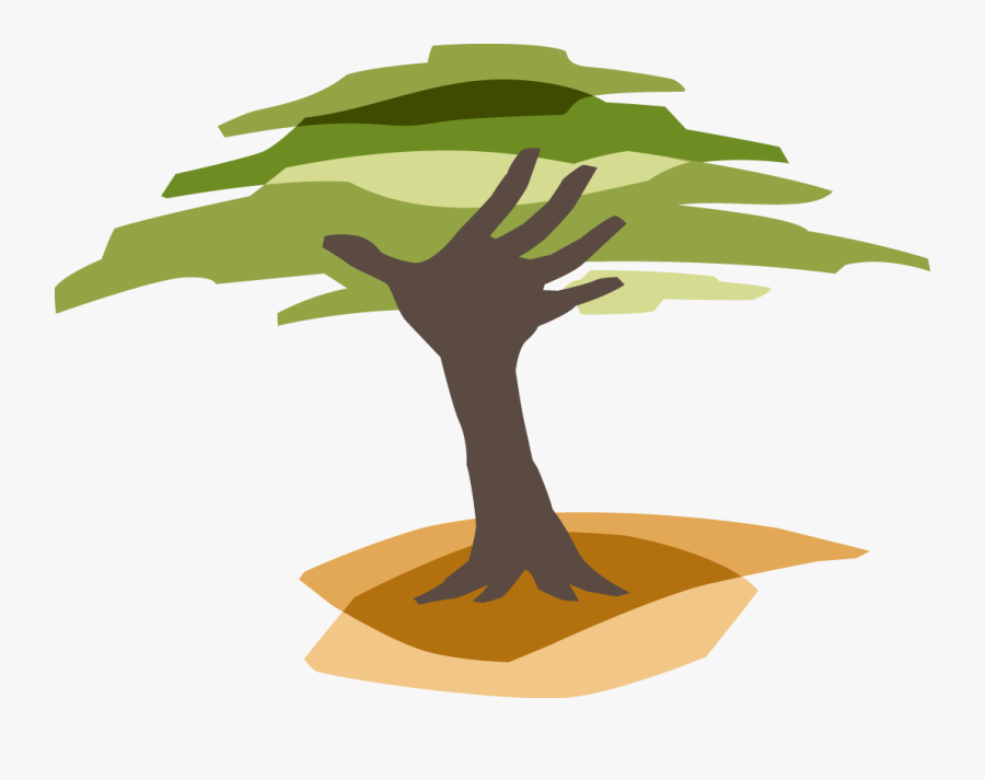 Eden Reforestation Projects, Transparent Clipart