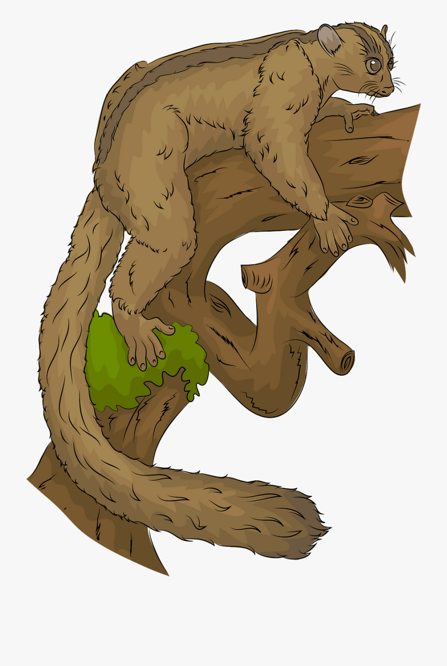 Cartoon, Transparent Clipart