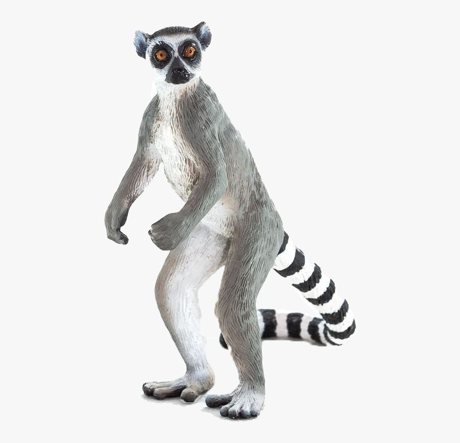 Lemur - Lemur Png, Transparent Clipart