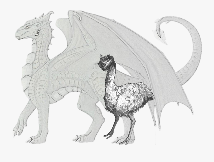Wildlife Fauna Line Art Extinction Sketch - Emu Dragon, Transparent Clipart