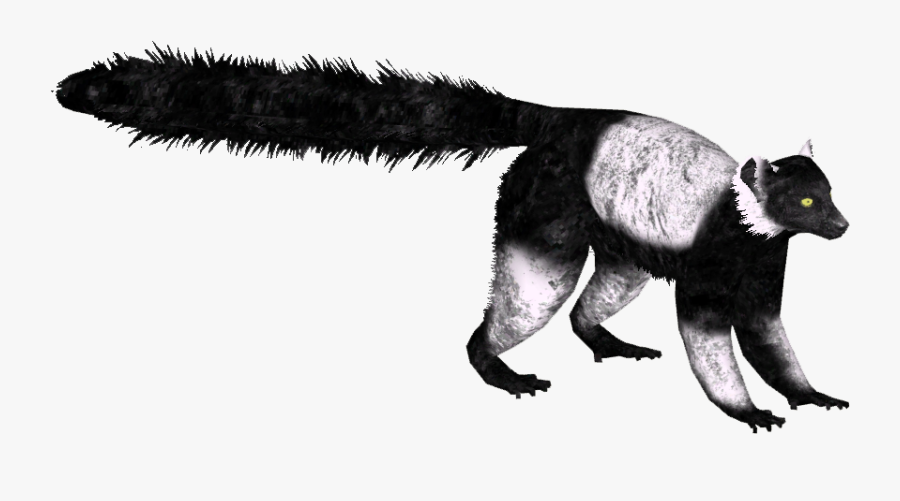 Black And White Ruffed Lemur - Black And White Ruffed Lemur Png, Transparent Clipart