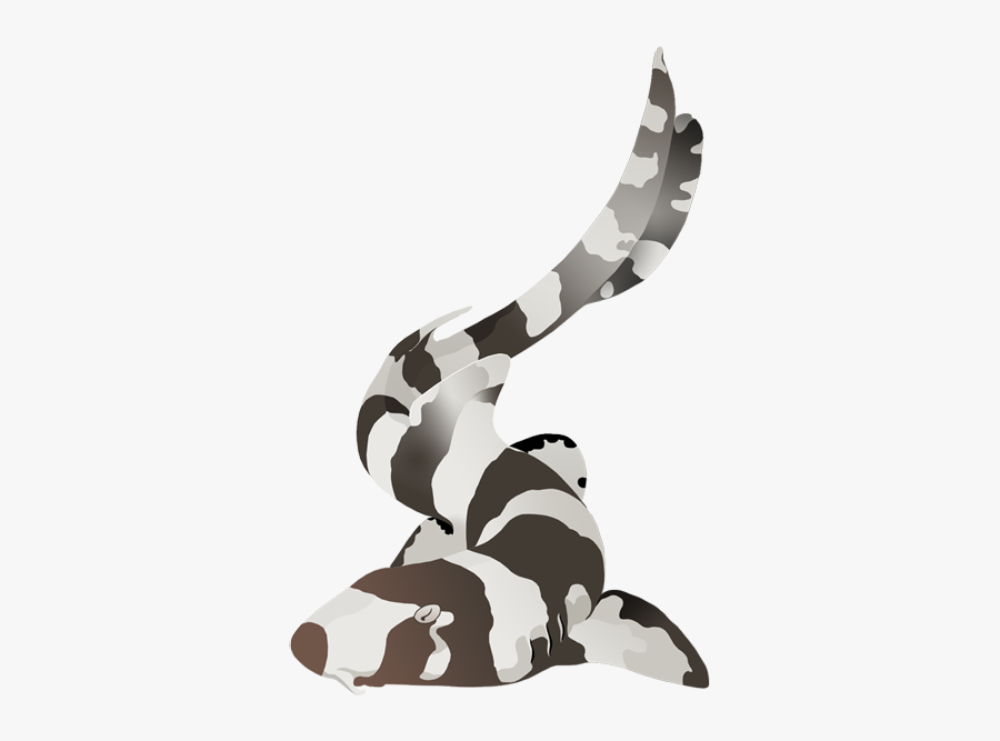 Brownbanded Bambooshark - Animal Figure, Transparent Clipart