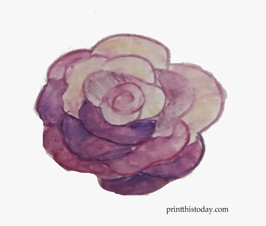 Free Handmade Watercolor Rose Clipart - Floribunda, Transparent Clipart