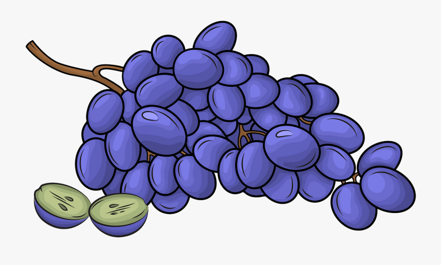 Seedless Fruit, Transparent Clipart