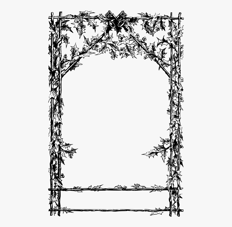 Picture Frame,pine Family,symmetry - Line Art, Transparent Clipart