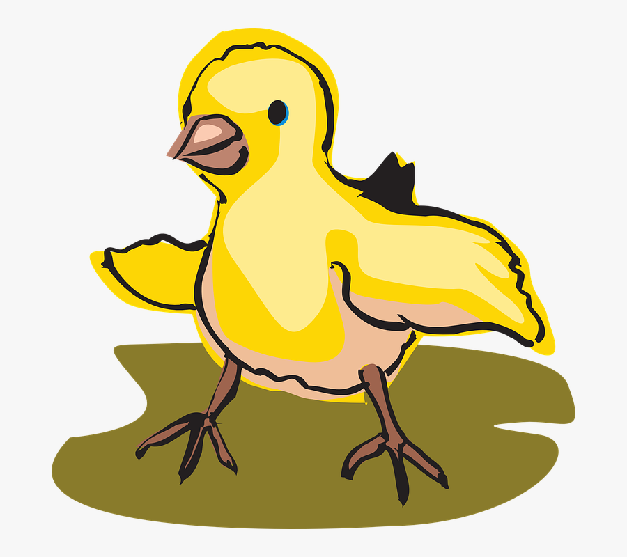 Baby Bird Walking Yellow Small Little Newborn - Baby Bird Walking Clipart, Transparent Clipart