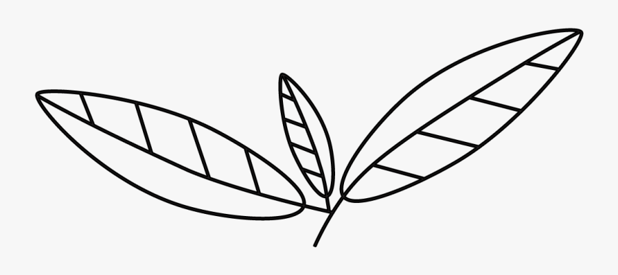 Serious About Living A Healthy Lifestyle Without Dieting - Line Art, Transparent Clipart