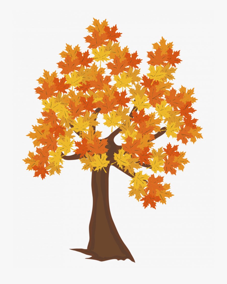 Autumn Tree Jokingart Com - Transparent Background Autumn Tree Clipart, Transparent Clipart