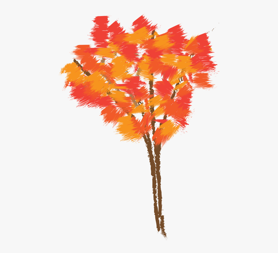 Autumn Tree - Autumn Tree Colors Drawings, Transparent Clipart