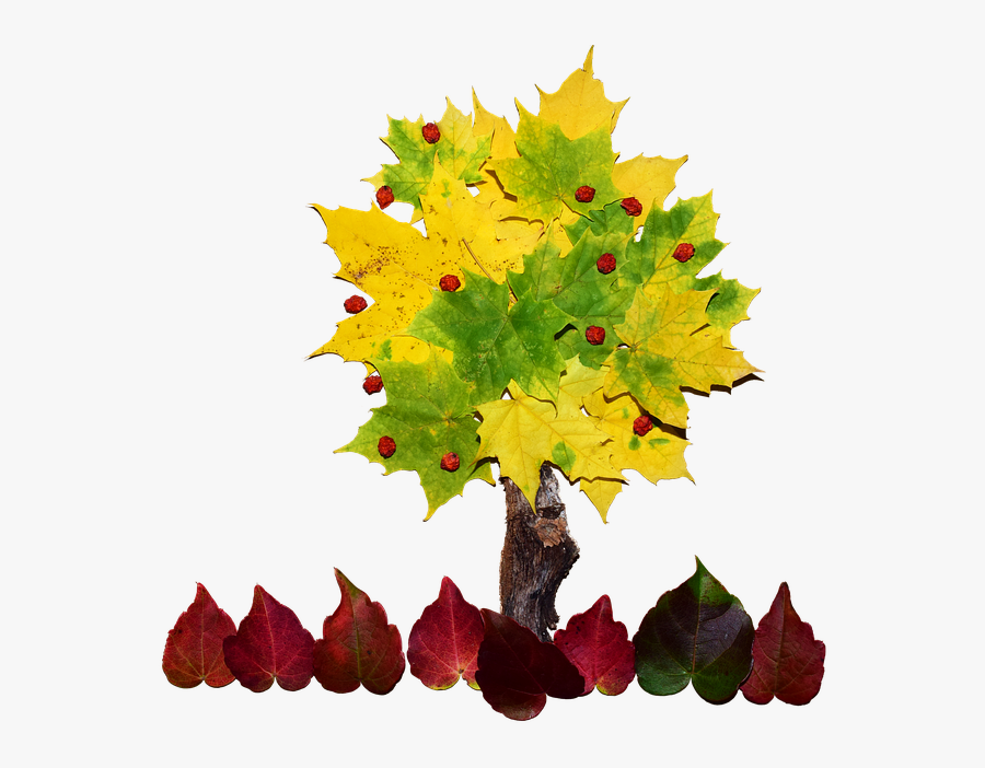 Cool Tree Cliparts 12, Buy Clip Art - Collage De Un Arbol, Transparent Clipart