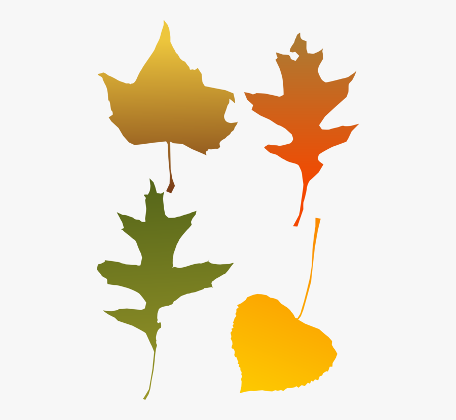 Autumn Leaf Color Red Maple Tree - Autumn Leaf Clip Art, Transparent Clipart