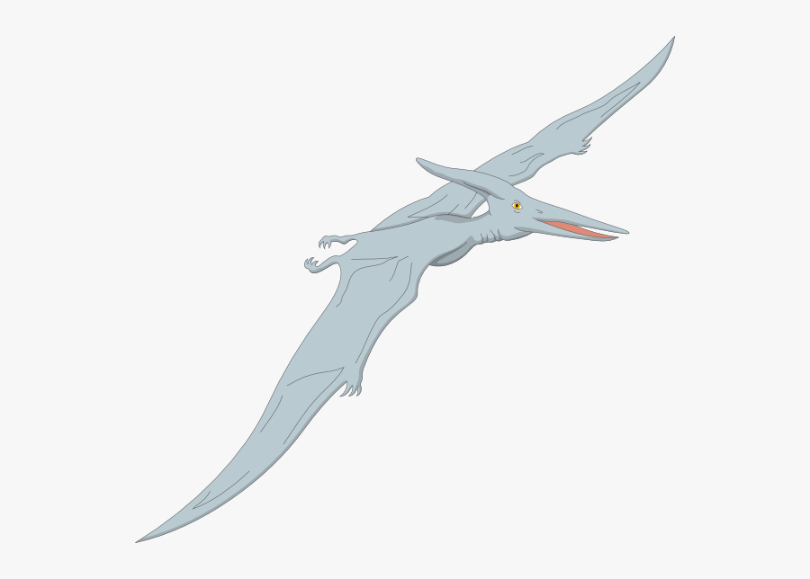 3 Fun Facts About Pterodactyls, Transparent Clipart