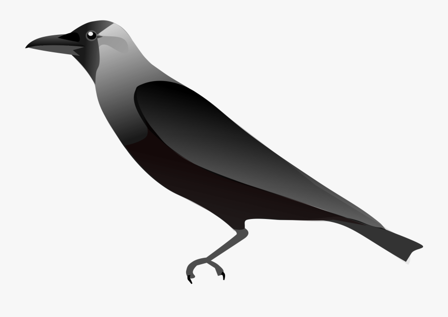 Crow Hd Images Png, Transparent Clipart