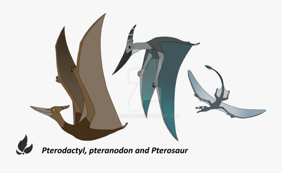 Download Pterosaurs Background Png For Designing Work - Pterosaurs, Transparent Clipart